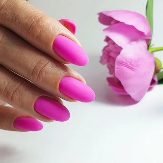 UV/LED Камуфляжная база PNB, Ча-ча-ча 8 ml