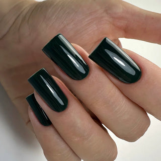 Gel nail polish PNB 08L Hidden Garden, 8 ml